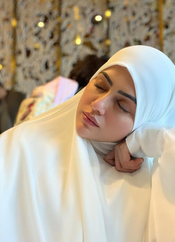 Career of Sana Khan